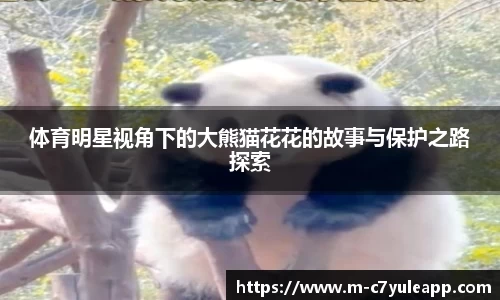 c7娱乐app